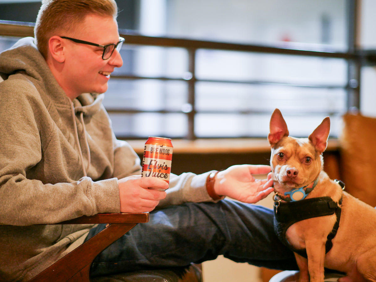 DogHouse Columbus Hotel - Image 10