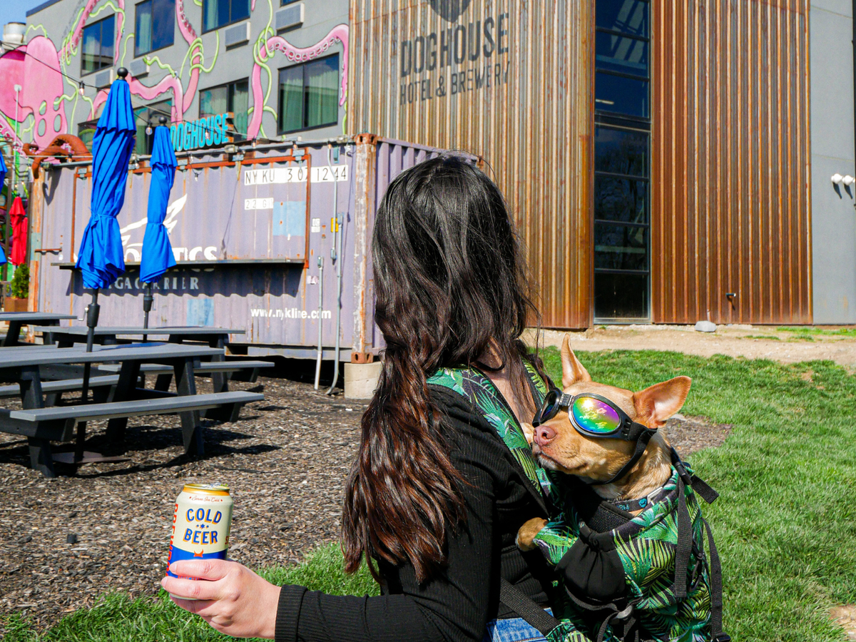 DogHouse Columbus Hotel - Image 2