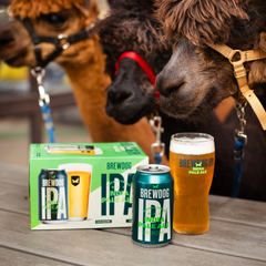 BrewDog IPA
